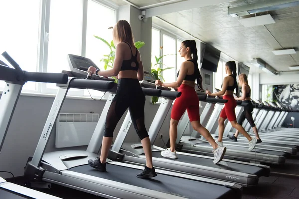 Group of two slim active women in sport clothing doing cardio on treadmill at fitness club. Female friends with dark hair workout together at modern gym.