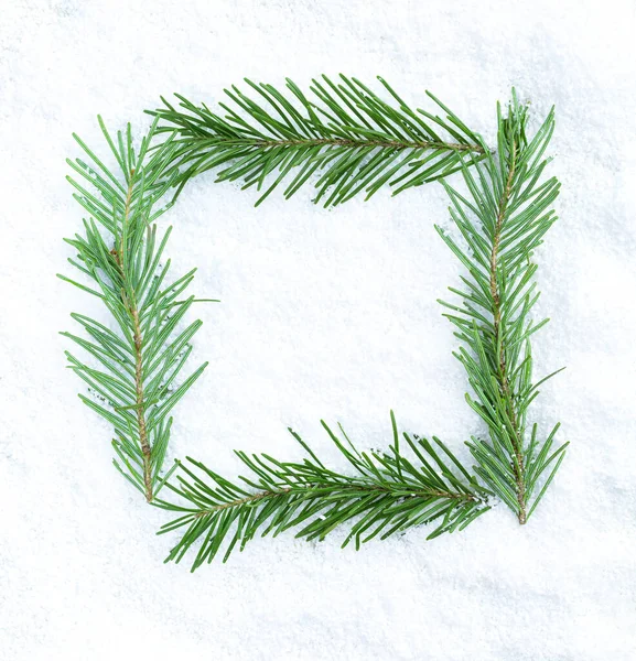 Spruce branches in a square on the snow. Christmas background. — Stock Photo, Image