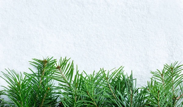 Las ramas de abeto yacen en la nieve. Concepto de Navidad, invierno Imagen De Stock