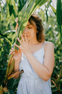 Kısa siyah dalgalı saçlı, açık mavi yazlık elbisesi olan yakışıklı beyaz kadın hafta sonları mısır tarlasında sakinliğini koruyor..
