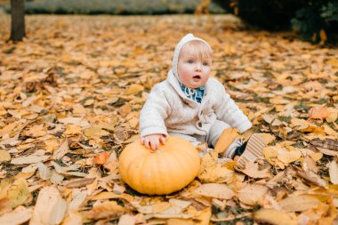Beyaz elbiseli, kısa kızıl saçlı, büyük mavi gözlü ve pompalı dudaklı beyaz bir çocuk, sonbahar parkında büyük turuncu bir balkabağıyla oturuyor.