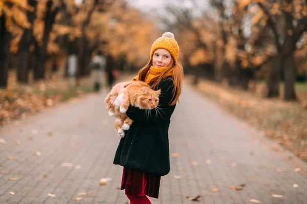 Criança Alegre Brincando Com Gato Outono Vale Livre — Fotografia de Stock