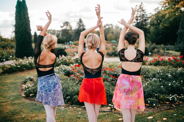 Retrato Por Trás Três Bailarinas Graciosas Meninas Posando Belo Parque — Fotografia de Stock