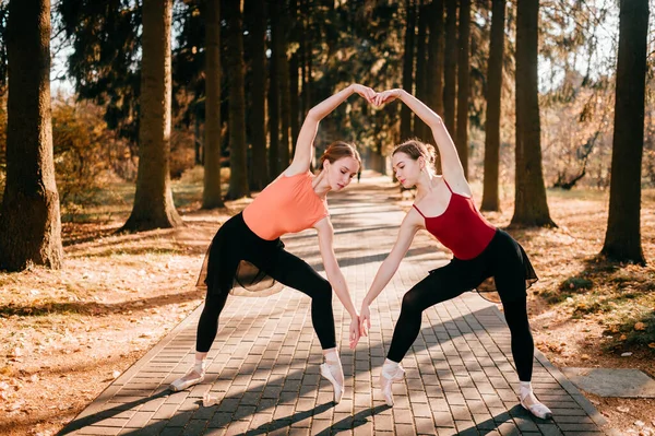 Duas Lindas Dançarinas Balé Balanceando Dançando Vale Árvore — Fotografia de Stock