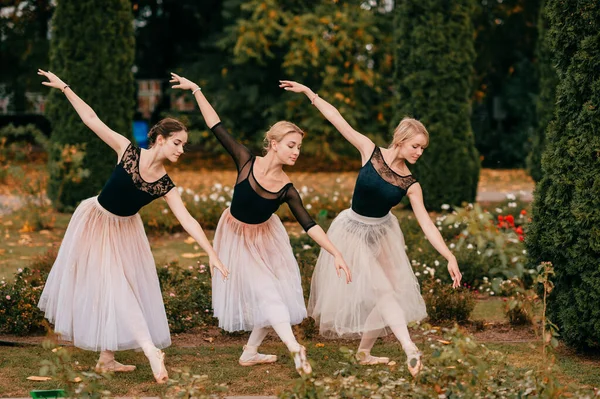 Três Bailarinas Mulheres Dançando Posando Belo Parque Com Arbustos Flores — Fotografia de Stock