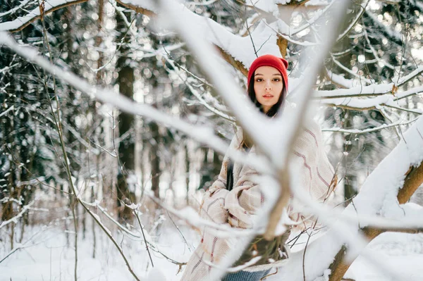 Mladý Atraktivní Dívka Krytí Teplou Pláštěnku Pózovat Mezi Sněhové Větve — Stock fotografie