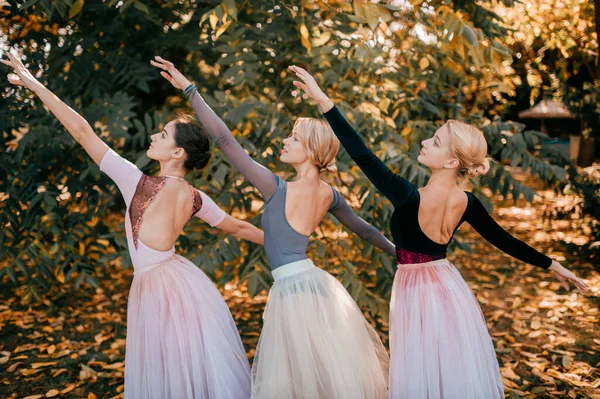 Três Bailarinas Meninas Posando Dançando Belo Parque — Fotografia de Stock