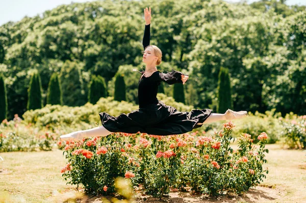 Jovem Bailarina Vestido Preto Saltando Entre Arbustos Rosa Parque — Fotografia de Stock