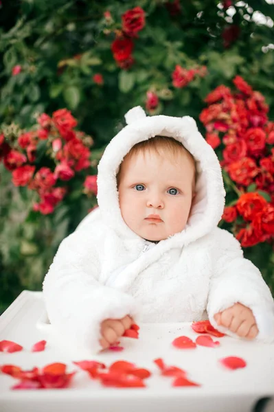 Affascinante Bambino Seduto Seggiolone All Aperto Tra Cespugli Con Fiori — Foto Stock