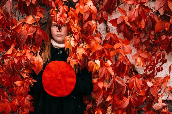 Triste Difícil Sardas Menina Olhando Através Folhas Hera Outono Com — Fotografia de Stock