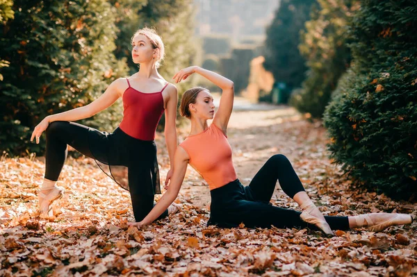 Zwei Schlanke Balletttänzerinnen Tanzen Und Posieren Bei Schönem Herbstwetter Park — Stockfoto