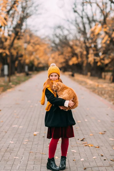 Liten Kaukasiska Flicka Med Fräknar Ansikte Håller Sin Feta Katt — Stockfoto