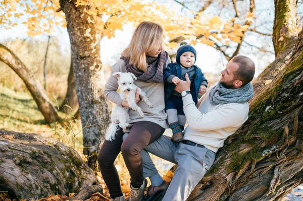Šťastný Rodinný Pár Svým Synem Malým Štěňátkem Podzimním Parku — Stock fotografie