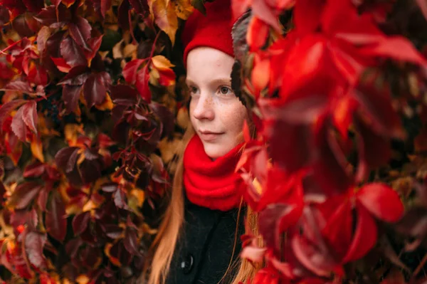 Porträt Positiver Sommersprossen Mädchen Eleganter Roter Baskenmütze Und Schal Posiert — Stockfoto