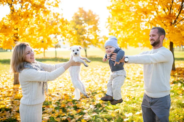 Mladá Šťastná Rodina Podzimním Parku Otec Matka Drží Legrační Štěně — Stock fotografie