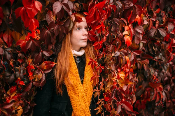 Ruiva Sardas Menina Irlandesa Casaco Preto Cachecol Amarelo Dentro Colorido — Fotografia de Stock