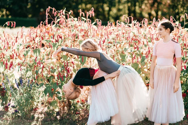 Retrato Dramático Três Bailarinas Graciosas Posando Dançando Sobre Flores Rosa — Fotografia de Stock