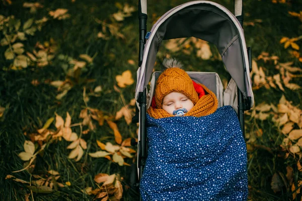 Little Cute Baby Brown Knitted Hat Scarf Covered Blue Blanket — Stock Photo, Image