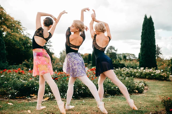 Groep Van Vrouwen Ballerina Poseren Met Gratie Drama Tuin Met — Stockfoto