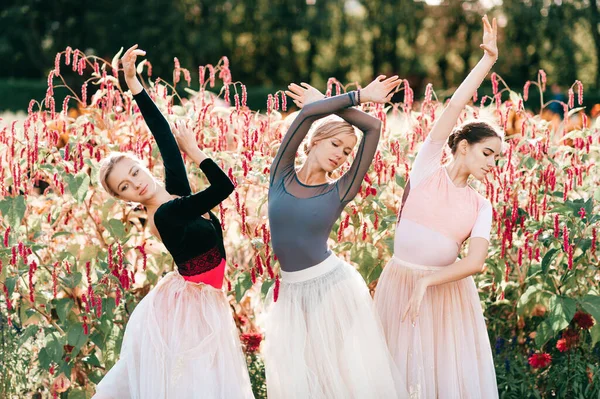 Retrato Dramático Três Bailarinas Graciosas Posando Dançando Sobre Flores Rosa — Fotografia de Stock