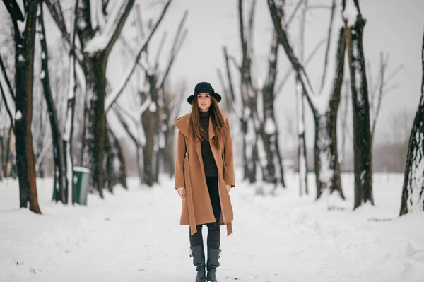 Young Cheerful Girl Brown Stylish Coat Posing Winter Tree Valley — Stock Photo, Image