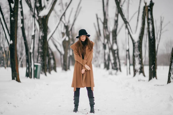 Kahverengi Ceketli Neşeli Kız Kış Ağacı Vadisinde Poz Veriyor — Stok fotoğraf