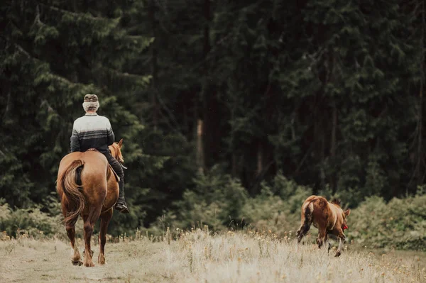 Cowboy Riding Horse Forest — Stock Photo, Image