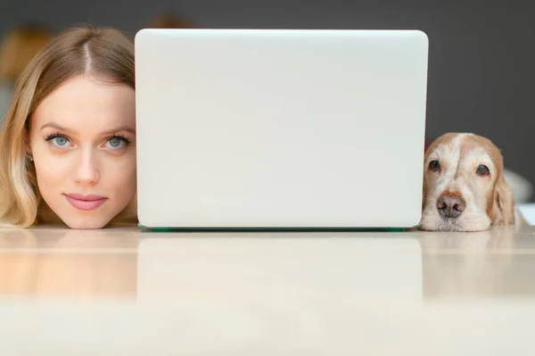Closeup Retrato Mulher Loira Cabeça Cabeça Seu Cocker Spaniel Cão — Fotografia de Stock
