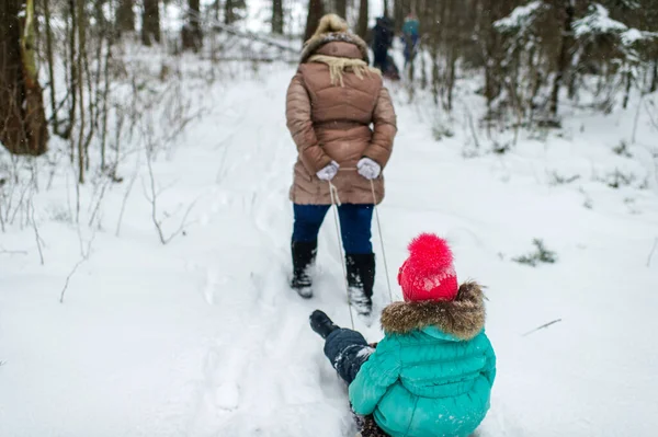 Moeder Trekken Slee Met Haar Dochter Zitten Het Winter Besneeuwde — Stockfoto