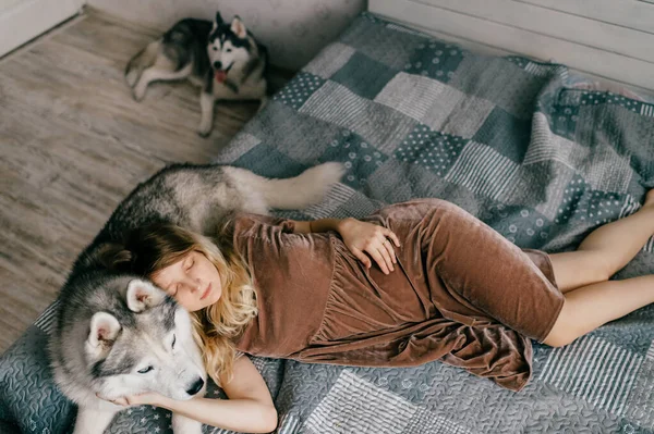 소녀는 집에서 침대에 허스키 강아지와 아름다운 여인이 소파에서 허스키 껴안고 — 스톡 사진