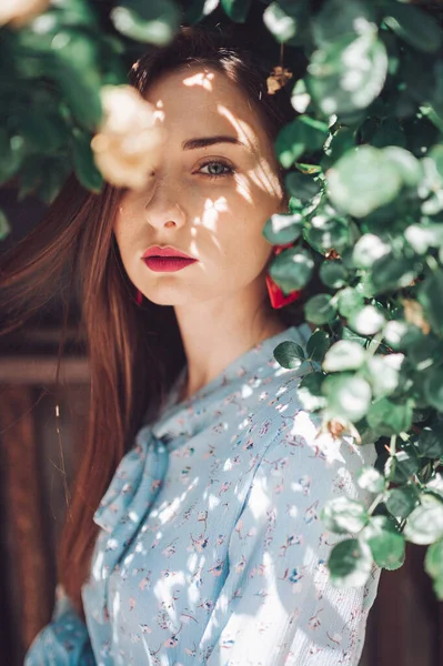 Portrait Mode Jeune Brunette Modèle Féminin Dans Les Buissons — Photo