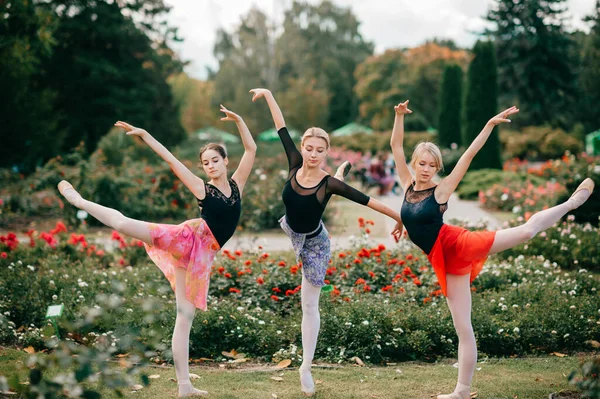 Trzy Elastyczne Tancerki Baletowe Balansujące Pozujące Łonie Natury — Zdjęcie stockowe