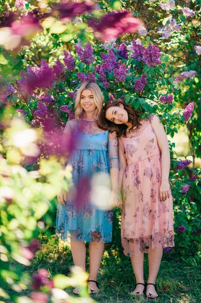 Όμορφη Αδελφές Ξανθά Και Καστανά Μαλλιά Ένα Λιλά Κήπο Κρατήστε — Φωτογραφία Αρχείου