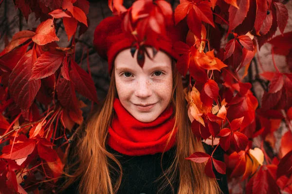 Retrato Sardas Positivo Menina Elegante Boina Vermelha Cachecol Posando Outono — Fotografia de Stock