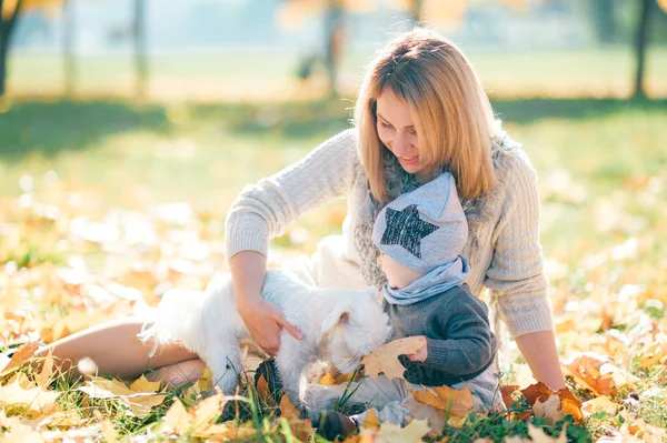 Mother Her Cute Baby Autumn Park Young Woman Her Son — Stock Photo, Image