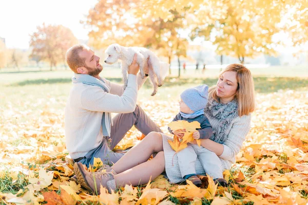 Famiglia Felice Con Loro Bambino Ritratto All Aperto Nel Parco — Foto Stock