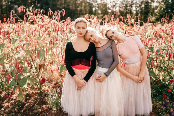 Tři Krásné Baletky Dívky Pózují Slunečném Letním Parku — Stock fotografie