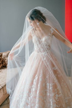 Beyaz klasik elbiseli güzel gelinin portresi stüdyoda peçenin altında poz veriyor.