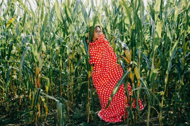Beyaz ve kırmızı örtüye sarılı kısa siyah dalgalı saçlı güzel beyaz kadın yaz sabahı mısır tarlasında çok eğleniyor..