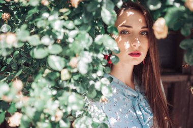 Çalılıklardaki genç esmer kadın modelin moda portresi.