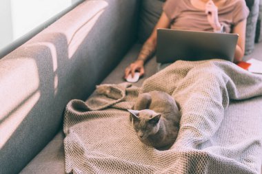 Güzel kedi yavrusu yatakta, tek bacaklı, arka planda defter kullanan bir kadın. Evcil hayvanla ev hayatı