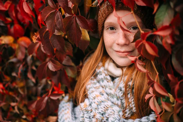 Pozitív Kislány Áll Borostyánfalon Vörös Leveleket Néz Játssz Bújócskát — Stock Fotó