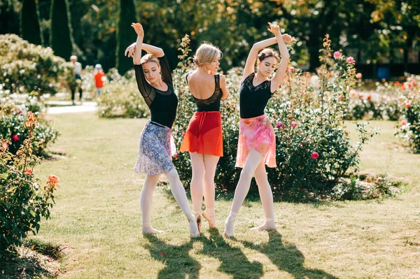 Три Красивые Балерины Девушки Танцуют Балансируют Солнце Свет Летнем Парке — стоковое фото