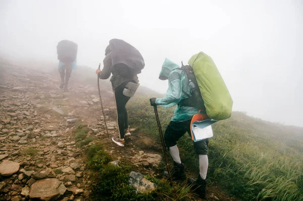 Hiking. Backpackers hiking up the foggy mountains. Mountain trekking. Men with backpacks on trek