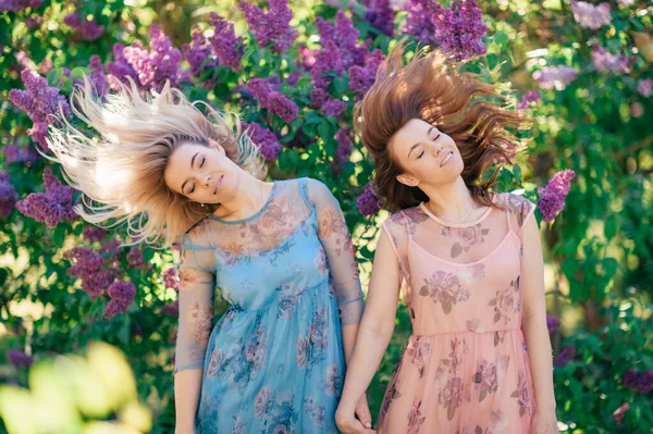 Sarışın Kahverengi Saçlı Güzel Kız Kardeşler Leylak Bahçesinde Ele Tutuşun — Stok fotoğraf