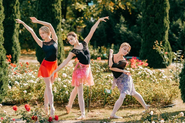 Três Mulheres Graciosas Dançarinas Balé Posando Dançando Verão Belo Parque — Fotografia de Stock