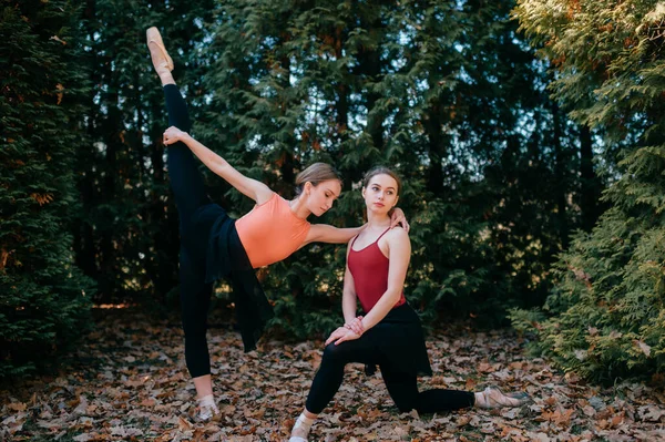 Duas Jovens Dançarinas Balé Fazendo Exercícios Alongamento Parque — Fotografia de Stock