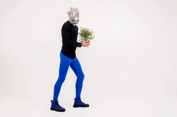 Hombre Extraño Divertido Respirador Posando Con Una Flor Olla Sobre — Foto de Stock