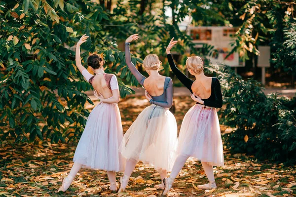 Trzy Dziewczyny Baleriny Pozowanie Taniec Pięknym Parku — Zdjęcie stockowe