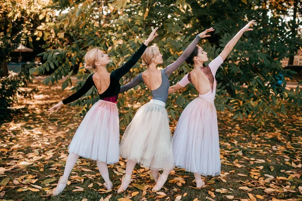 Три Балерины Позируют Танцуют Красивом Парке — стоковое фото
